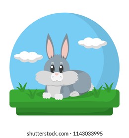 cute rabbit animal lying in the landscape