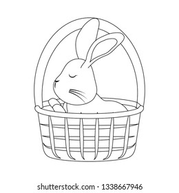 cute rabbit in basket wicker