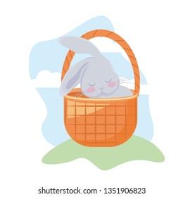 cute rabbit with basket wicker in grass