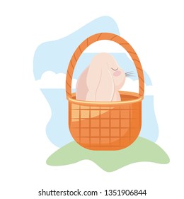 cute rabbit with basket wicker in grass