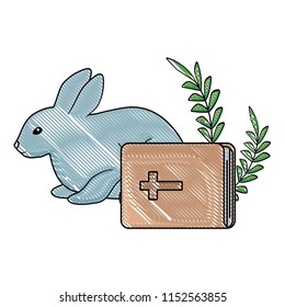 cute rabbit and bible