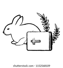 cute rabbit and bible