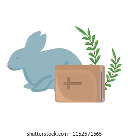 cute rabbit and bible