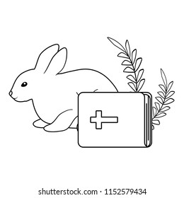 cute rabbit and bible