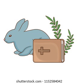 cute rabbit and bible