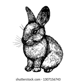 Cute rabbit, black line sketch bunny isolated on white background, easter, stock vector illustration for design and decor, stickers, interior, print for clothes, decoupage, scrubbing