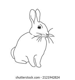 A cute rabbit. Black outline on a white background. Festive Easter bunny. 