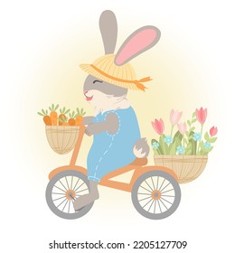 A cute rabbit in a blue jumpsuit rides a bicycle with a carrot harvest and a bouquet of flowers. Vector illustration