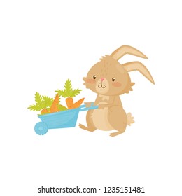 Cute rabbit with blue wheelbarrow full of carrot. Cute brown bunny with long ears and short tail. Flat vector icon