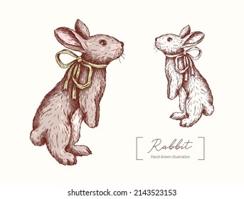Cute Rabbit with a bow in engraving style. Vector hand drawn animal. Bunny isolated on a white background. Cute fluffy rabbit. Easter Bunny.