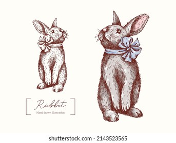 Cute Rabbit with a bow in engraving style. Vector hand drawn animal. Bunny isolated on a white background. Cute fluffy rabbit. Easter Bunny.