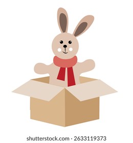 Cute Rabbit in a Box on a White Background