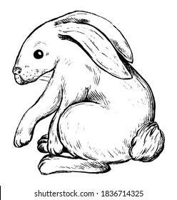 Cute rabbit, bunny, hare. Wildlife animal. Hand drawn vector contour illustration. Abstract retro graphic drawing isolated on white. Single black element for design print, shirt, poster, decor, card.