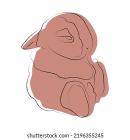 Cute rabbit, bunny, line art, one line art, color spots