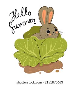 Cute rabbit in cabbage isolated on white background. Vector graphics.