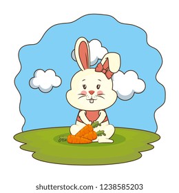 cute rabbit with carrot in the camp