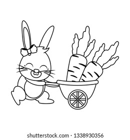 cute rabbit carrots in stroller