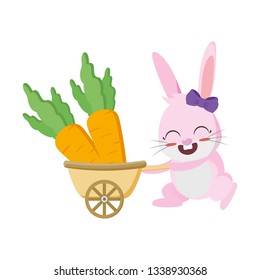 cute rabbit carrots in stroller