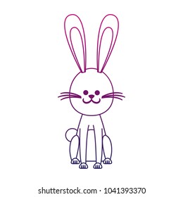 Cute rabbit cartoon