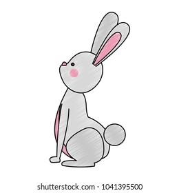 Cute rabbit cartoon