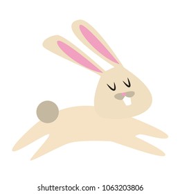 Cute rabbit cartoon