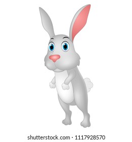 Cute rabbit cartoon