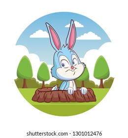 Cute rabbit cartoon
