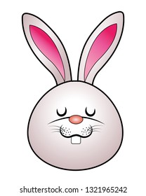 cute rabbit cartoon