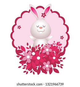 cute rabbit cartoon