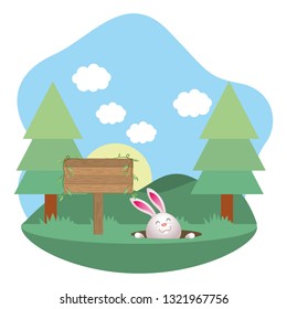 cute rabbit cartoon