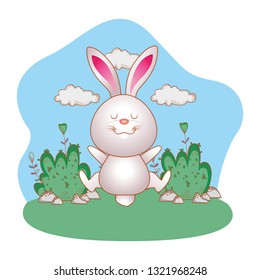 cute rabbit cartoon