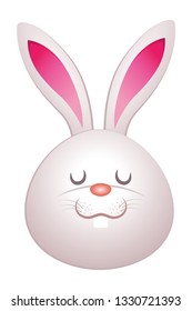 cute rabbit cartoon