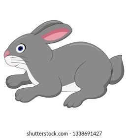 Cute rabbit cartoon