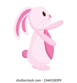 cute rabbit cartoon