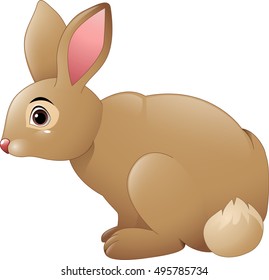 Cute rabbit cartoon
