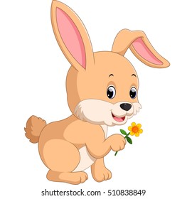 cute rabbit cartoon