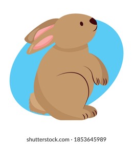 cute rabbit cartoon with up body. vector cartoon