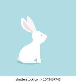 Cute Rabbit cartoon character. Happy Easter Bunny,