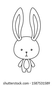 Cute rabbit cartoon design, Animal zoo life nature character childhood and adorable theme Vector illustration