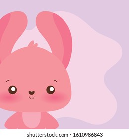 Cute rabbit cartoon design, Animal zoo life nature character childhood and adorable theme Vector illustration