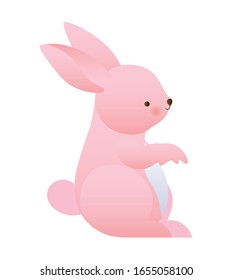 Cute rabbit cartoon design, Animal zoo life nature character childhood and adorable theme Vector illustration