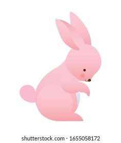Cute rabbit cartoon design, Animal zoo life nature character childhood and adorable theme Vector illustration