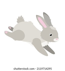 Cute rabbit in cartoon flat style. Isolated vector.