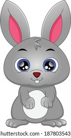 cute rabbit cartoon on a white background