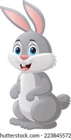 Cute rabbit cartoon on white background
