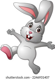 Cute rabbit cartoon on white background