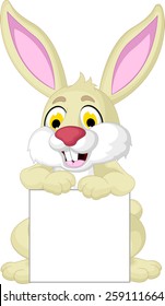 cute rabbit cartoon posing with blank sign