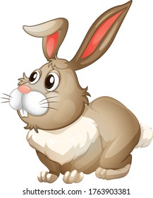 Cute rabbit cartoon vector art and illustration