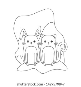 cute rabbit with cat animals character