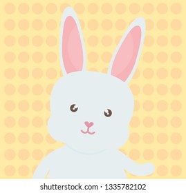cute rabbit character icon